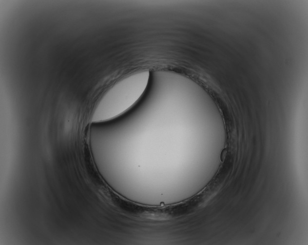 X0000086030644200703230955