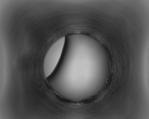 X0000086030646200703230955