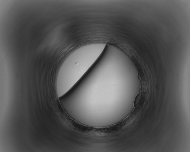 X0000086030648200703230955
