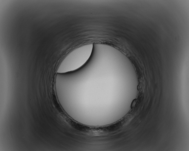 X0000086030650200703230955
