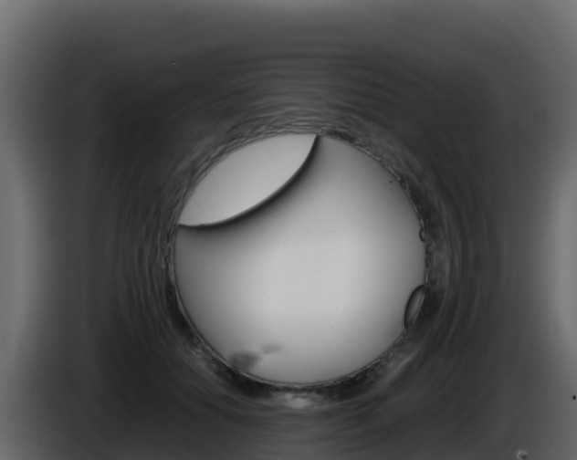 X0000086030654200703230955