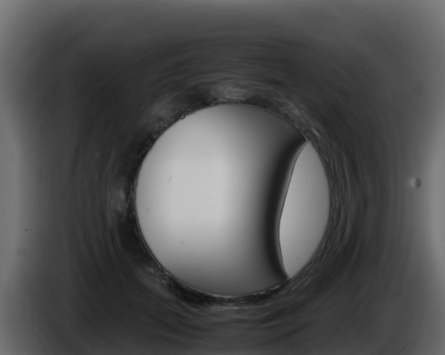 X0000086030655200703230955