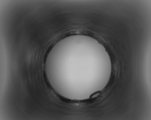 X0000086030657200703230955