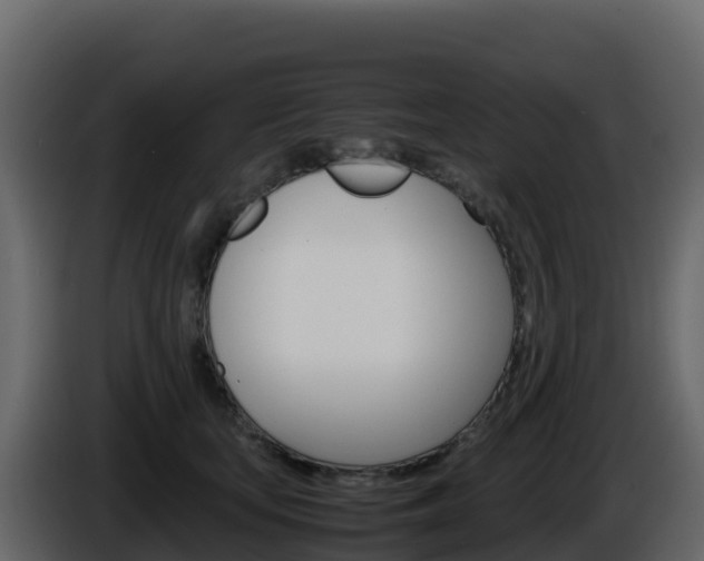 X0000086030659200703230955