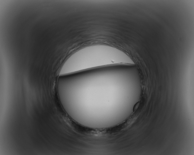 X0000086030660200703230955