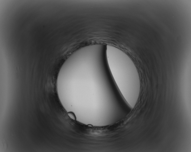 X0000086030661200703230955