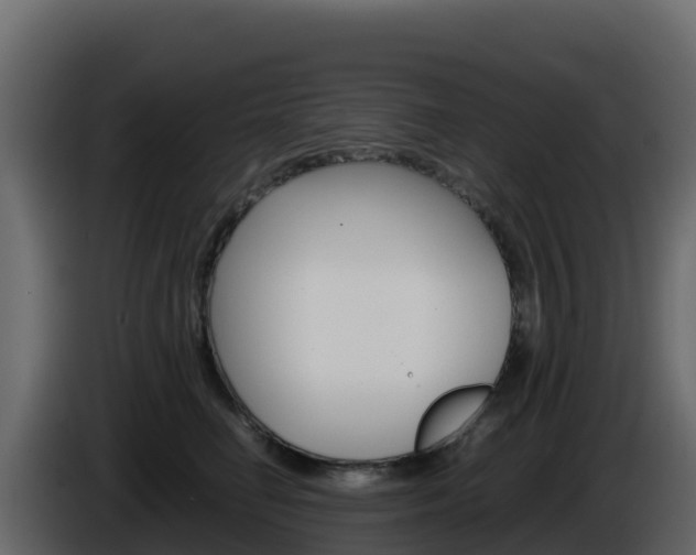 X0000086030662200703230955