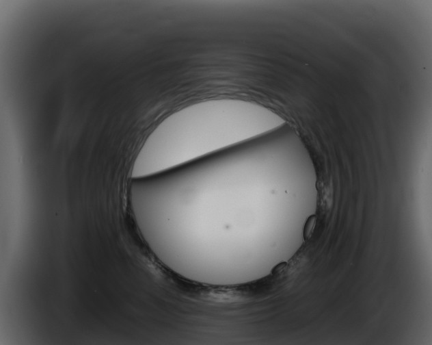 X0000086030666200703230955