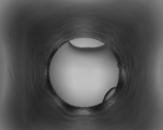 X0000086030668200703230956