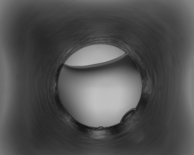 X0000086030669200703230956