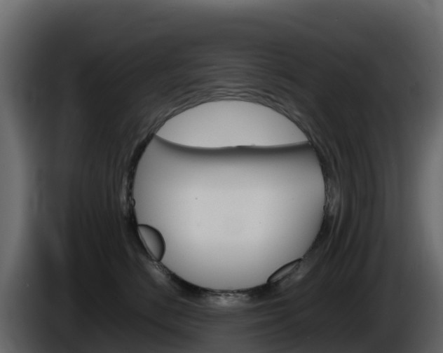 X0000086030670200703230956