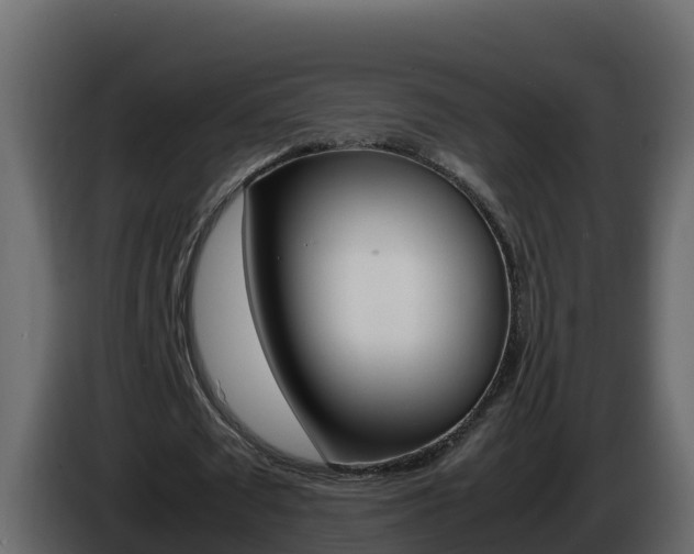 X0000086030673200703230955