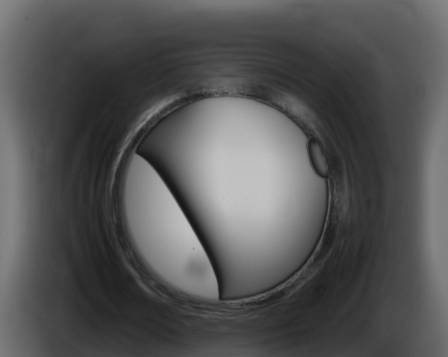 X0000086030674200703230955