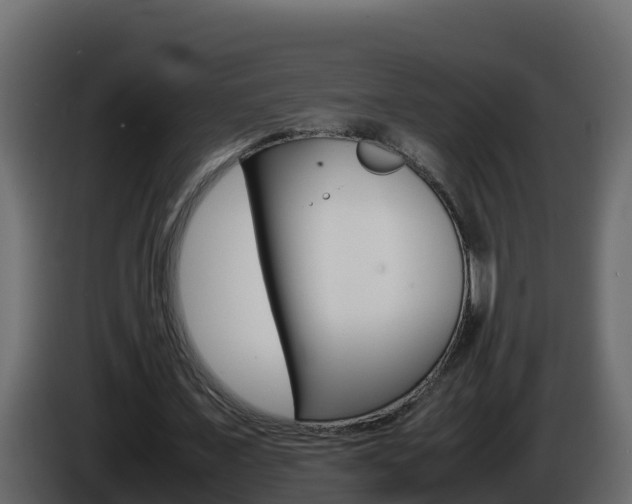 X0000086030675200703230955