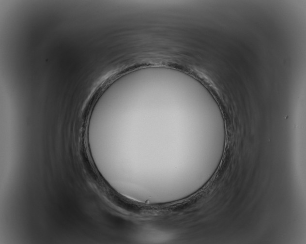 X0000086030679200703230955