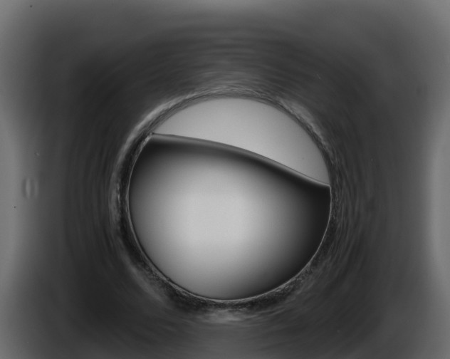 X0000086030680200703230955