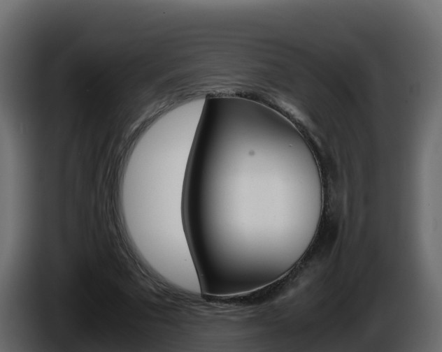 X0000086030681200703230955