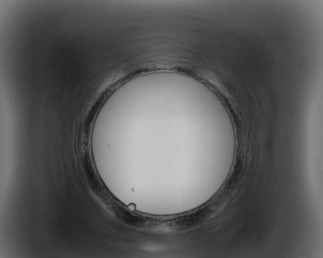 X0000086030683200703230955