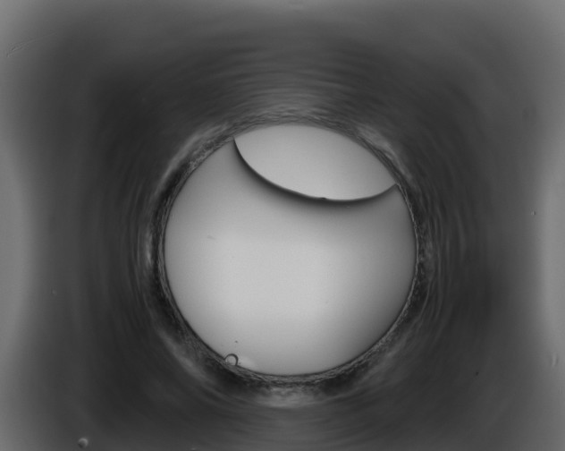 X0000086030686200703230955