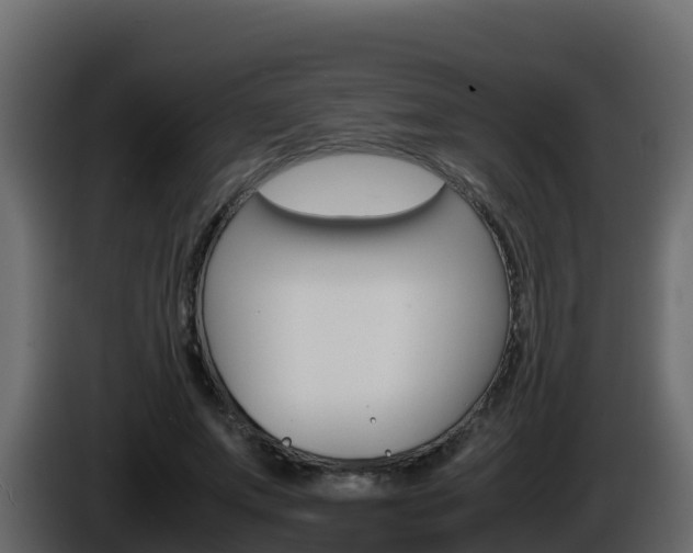 X0000086030687200703230955
