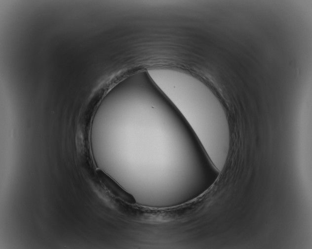 X0000086030688200703230955