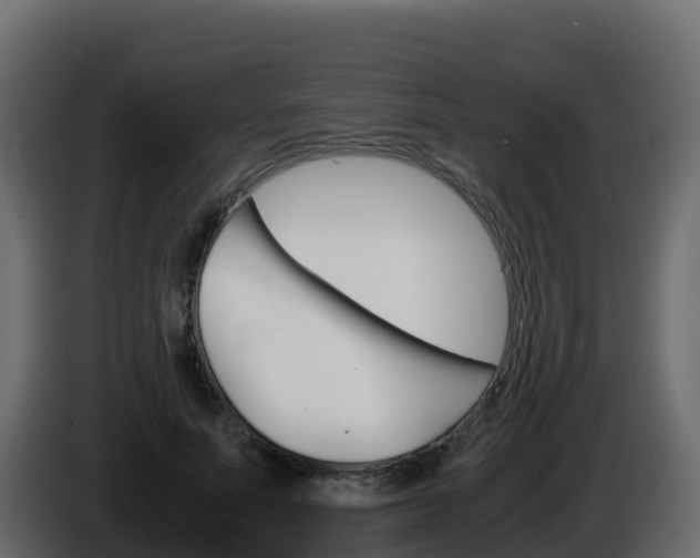 X0000086030691200703230955
