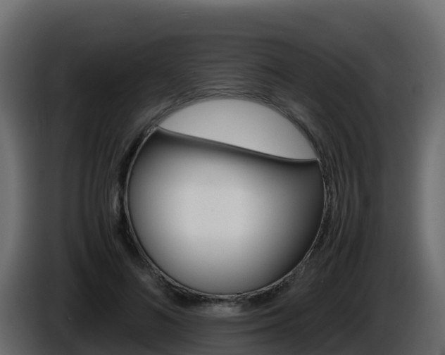 X0000086030692200703230955