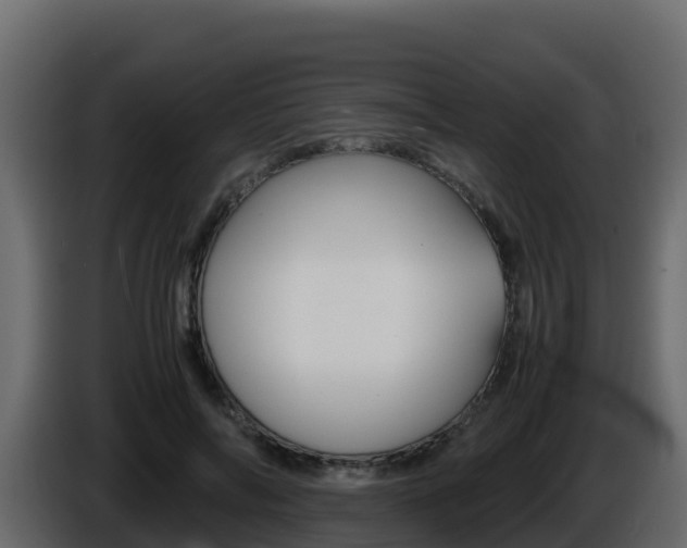 X0000086030694200703230955