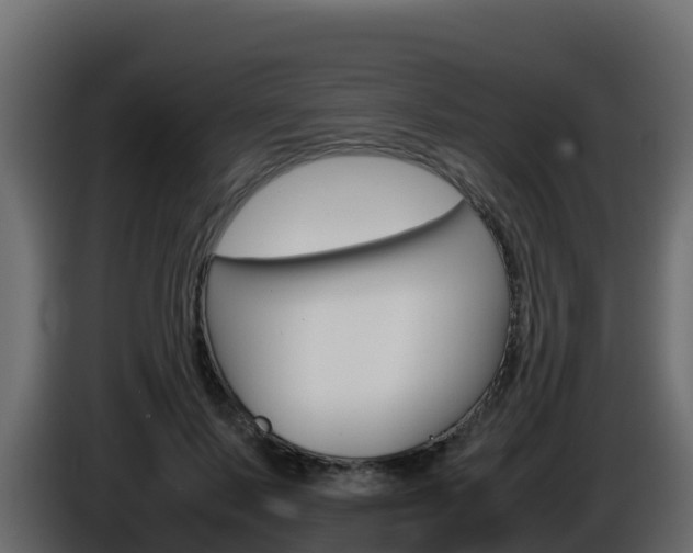 X0000086030695200703230955