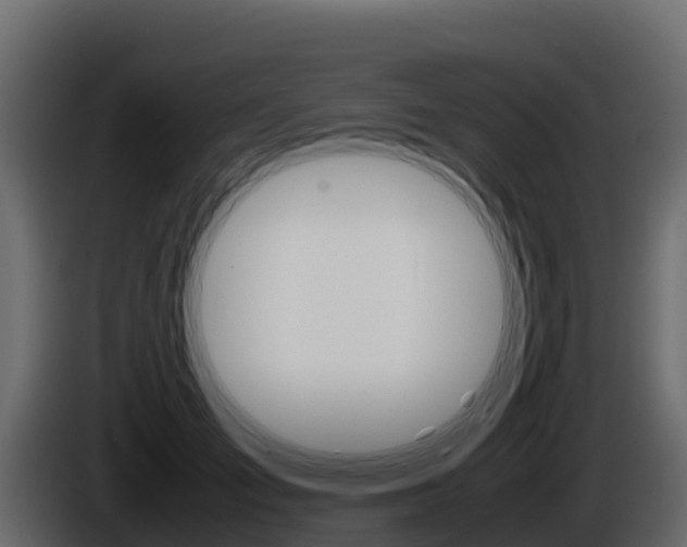 X0000086030701200703230955