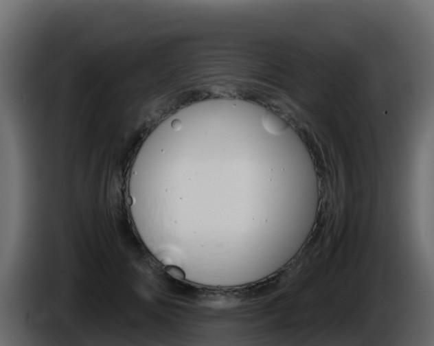 X0000086030702200703230954