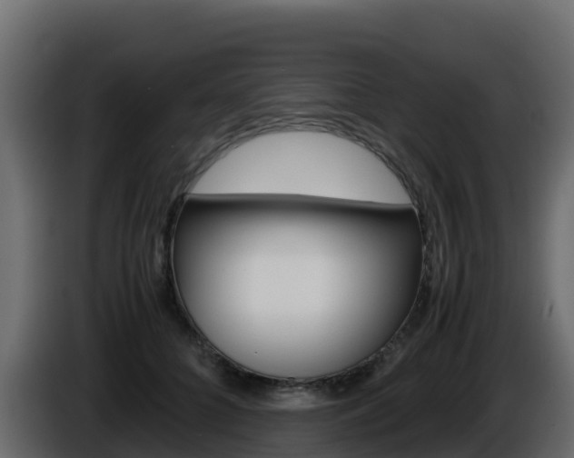 X0000086030704200703230954