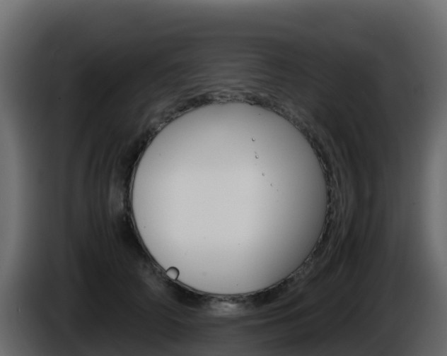 X0000086030706200703230954