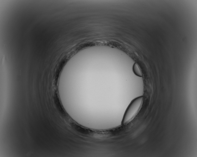 X0000086030707200703230954