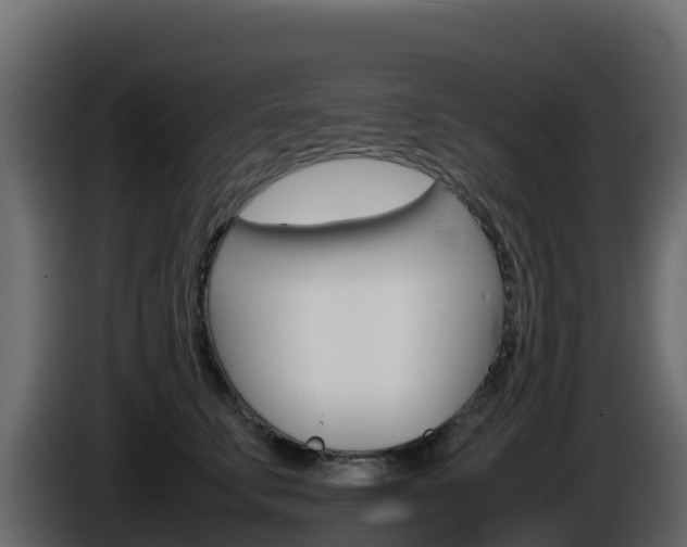 X0000086030711200703230954