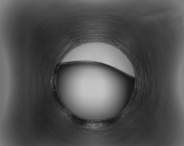 X0000086030712200703230954