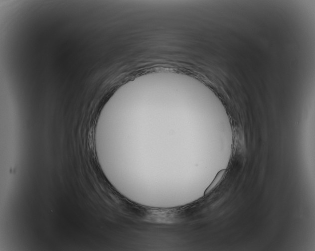 X0000086030713200703230954