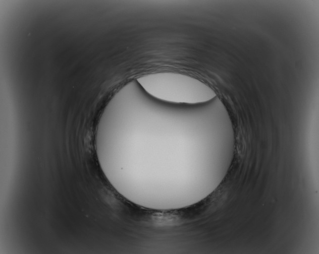 X0000086030714200703230954