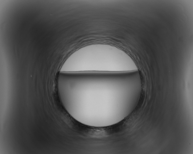 X0000086030715200703230954