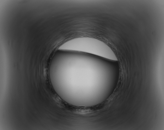 X0000086030716200703230954