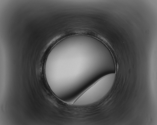 X0000086030723200703230954
