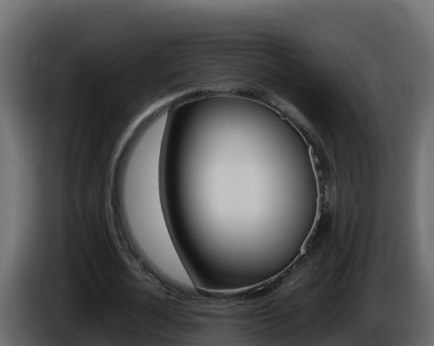 X0000086030724200703230954