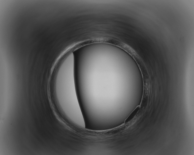 X0000086030726200703230954