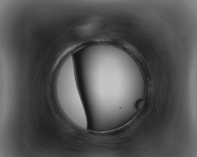 X0000086030727200703230954