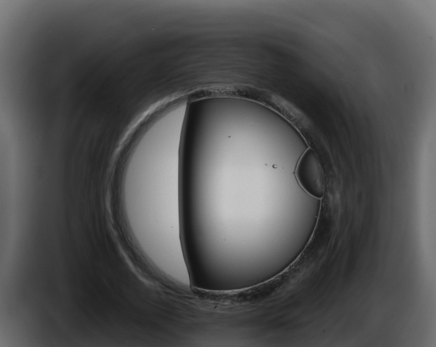 X0000086030728200703230954