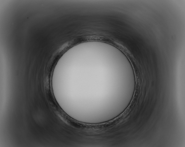 X0000086030729200703230954