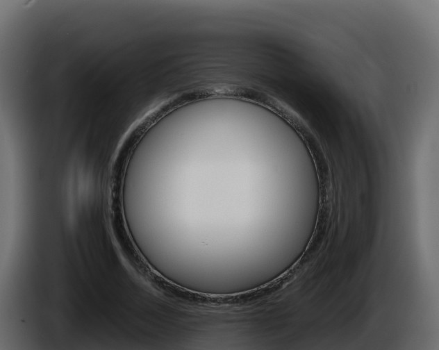 X0000086030730200703230954