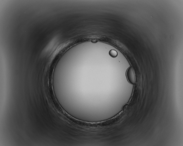 X0000086030731200703230954