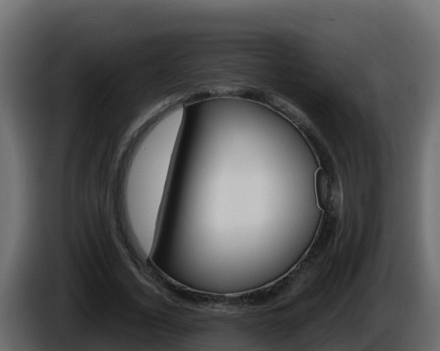 X0000086030732200703230954