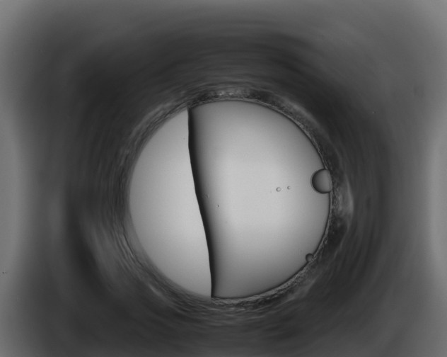X0000086030733200703230954